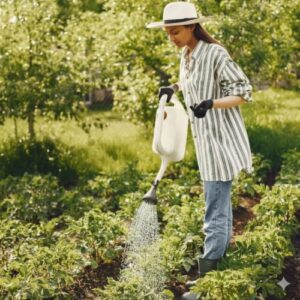 Woman in striped shirt and hat watering organic crops at Greenroots farm near Gangapur Dam